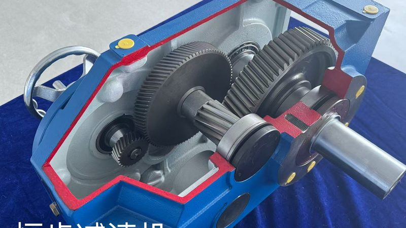 传动链条与输送链条：选型标准的深度解析